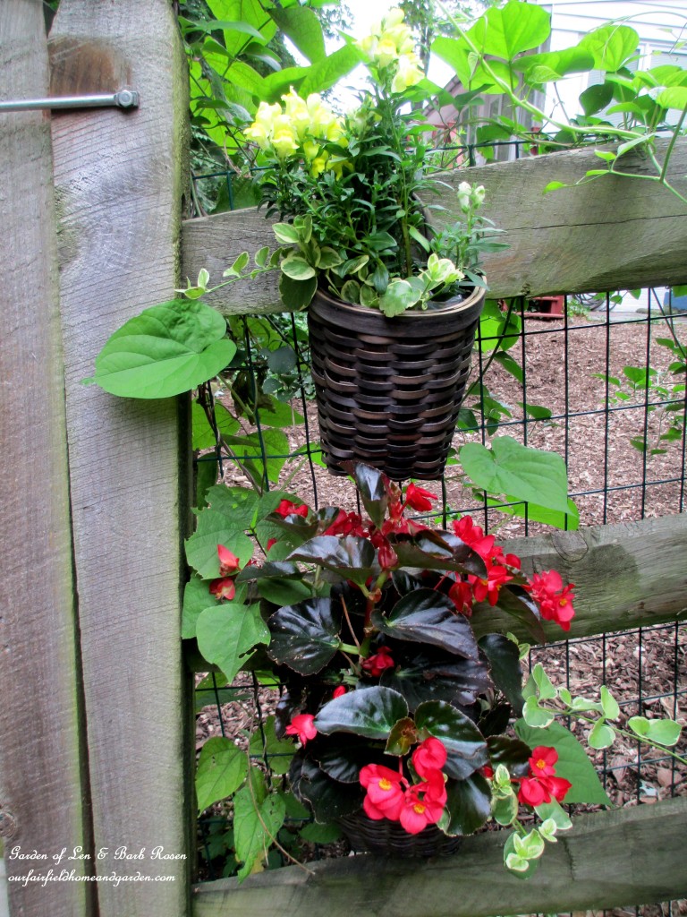 planted baskets by the back gate
