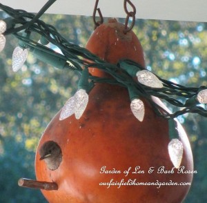 Baby wren https://ourfairfieldhomeandgarden.com/its-all-about-the-birds-birdfeeders-birdbaths-and-birdhouses-in-our-garden/