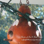 It's All About the Birds! https://ourfairfieldhomeandgarden.com/its-all-about-the-birds-birdfeeders-birdbaths-and-birdhouses-in-our-garden/