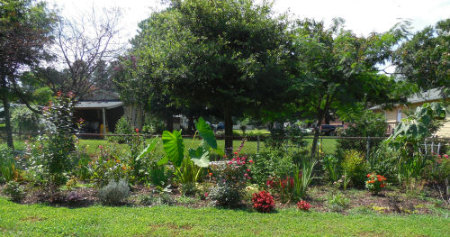 The Gardening Cook's Test Garden
