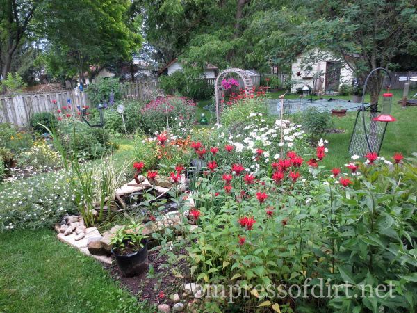 Year Two in Melissa's Garden!