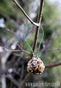 Pinecone Feeders ~ Garden Therapy