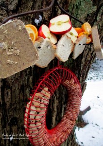 Bird Buffet ~ Our Fairfield Home and Garden