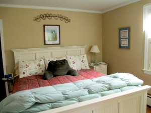 Before ~ comfy but frumpy, bedroom makeover, home decor