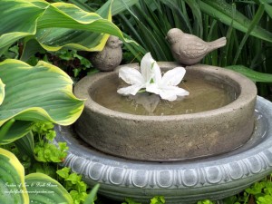 Birdbath in the Hostas https://ourfairfieldhomeandgarden.com/its-all-about-the-birds-birdfeeders-birdbaths-and-birdhouses-in-our-garden/