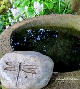 Stone Birdbath https://ourfairfieldhomeandgarden.com/its-all-about-the-birds-birdfeeders-birdbaths-and-birdhouses-in-our-garden/