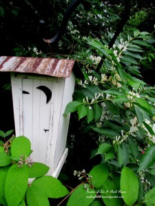 Outhouse Birdhouse