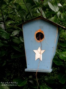 Well used birdhouse https://ourfairfieldhomeandgarden.com/its-all-about-the-birds-birdfeeders-birdbaths-and-birdhouses-in-our-garden/