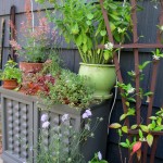 potted plants