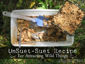 Make your own unsuet ~ Empress of Dirt