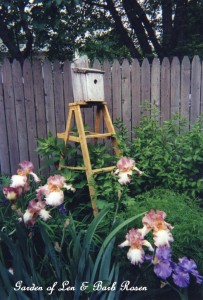 Ladder Birdhousehttps://ourfairfieldhomeandgarden.com/its-all-about-the-birds-birdfeeders-birdbaths-and-birdhouses-in-our-garden/