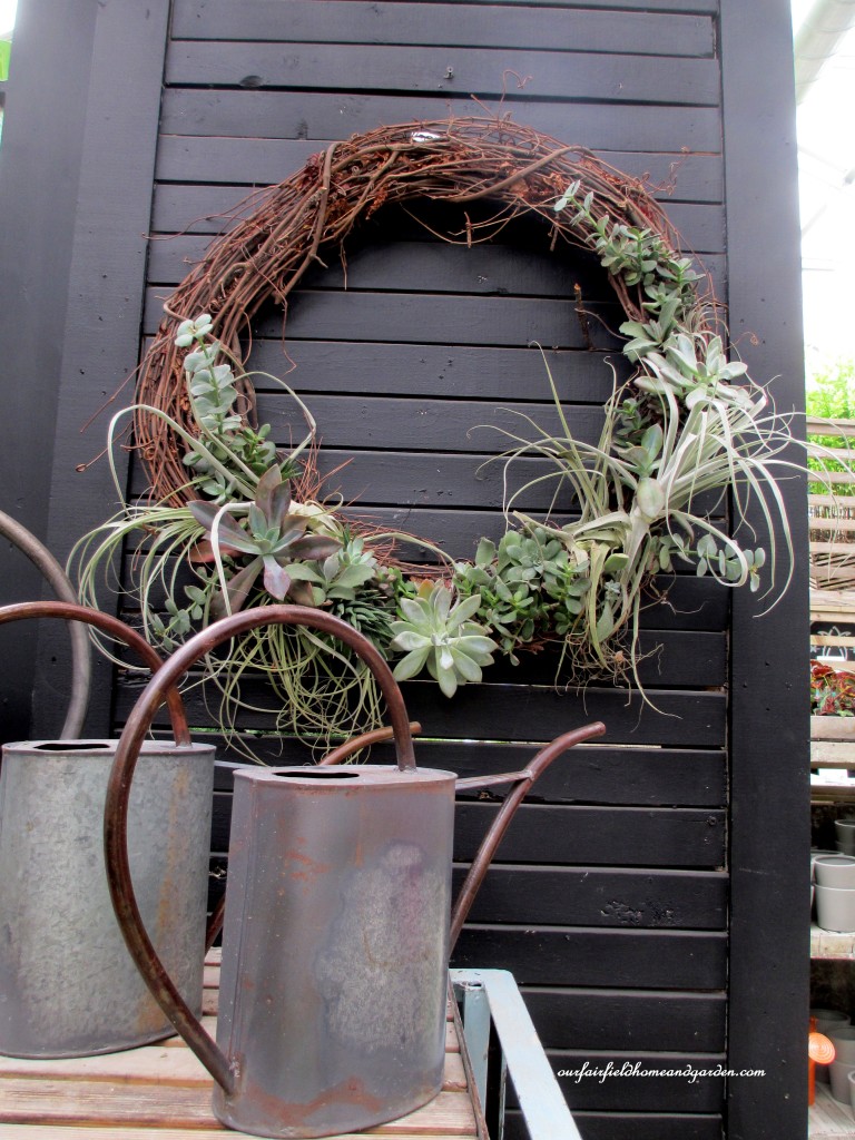 succulents & air plants in a wreath