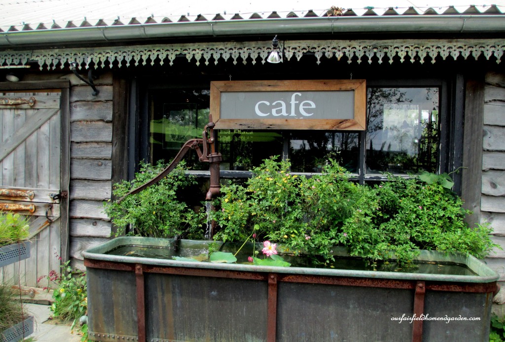 vintage trough water garden
