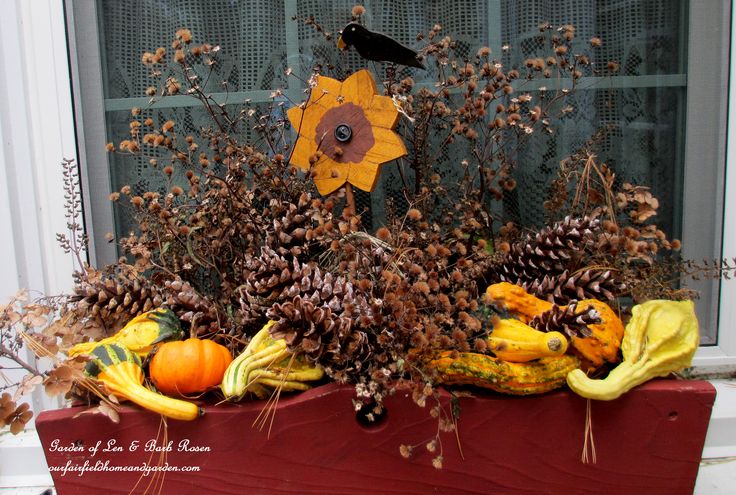 Fall window box filled with gourds & pine cones https://ourfairfieldhomeandgarden.com/autumn-garden-accents-inside-and-out/