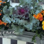 Fall Window Box