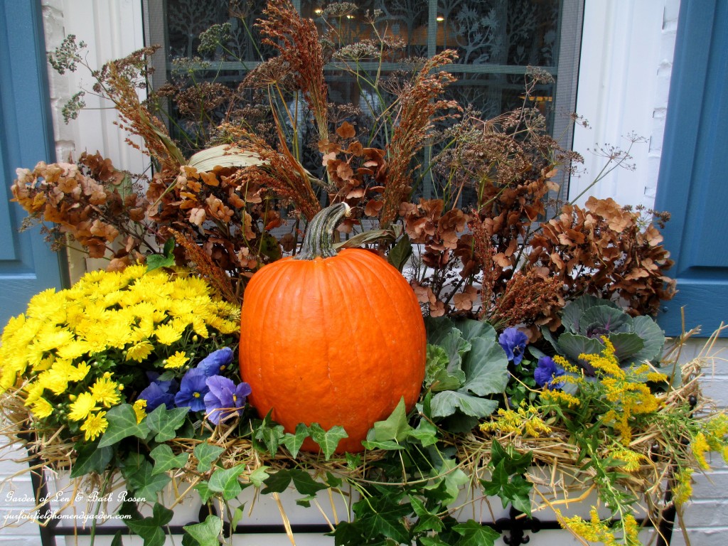 Fall windowbox with pumpkin, mums, ornamental kale, hay, winter pansies, ivy and seed heads & dried flowers from the garden.