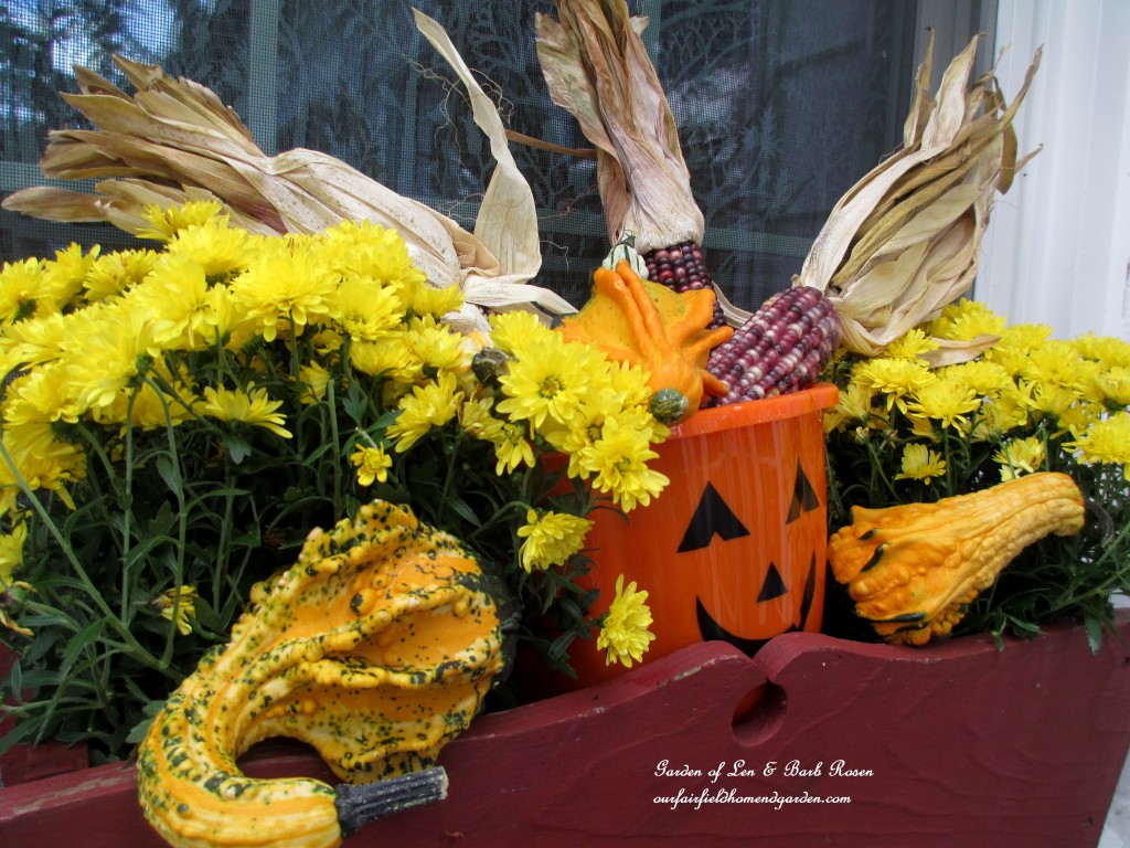 Fall Kitchen Window Box https://ourfairfieldhomeandgarden.com/fall-decorating-at-our-fairfield-home-and-garden/