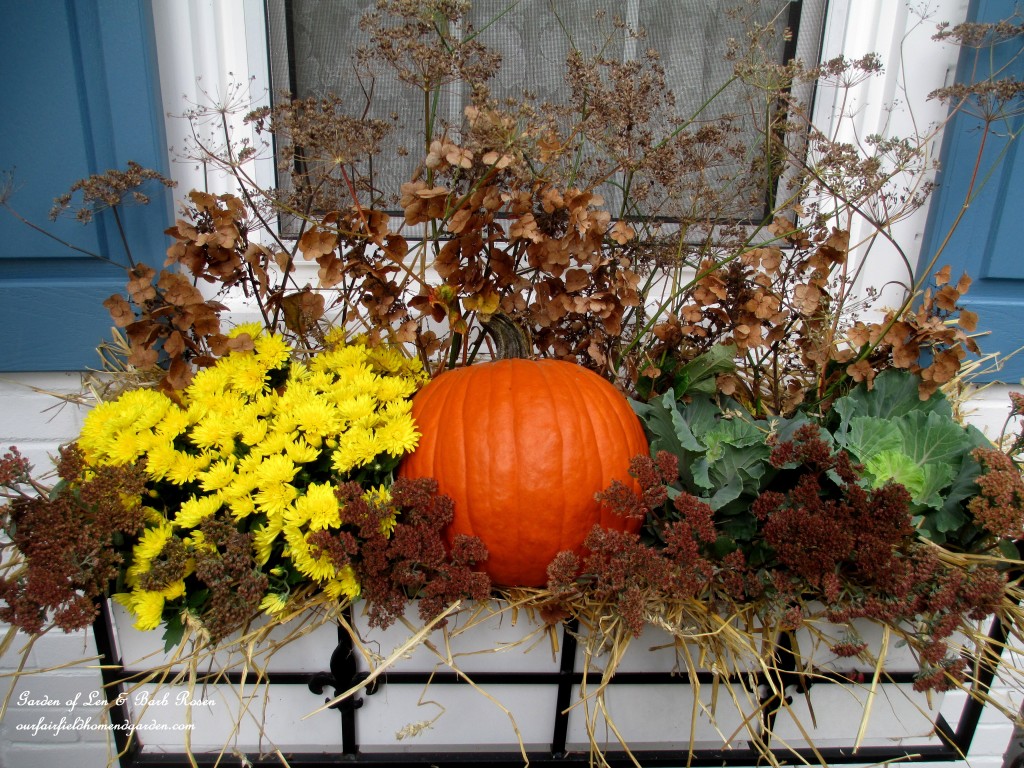 Fall windowbox with pumpkin, ornamental kale and dried sedum heads, dried flowers and seed pods from the garden.