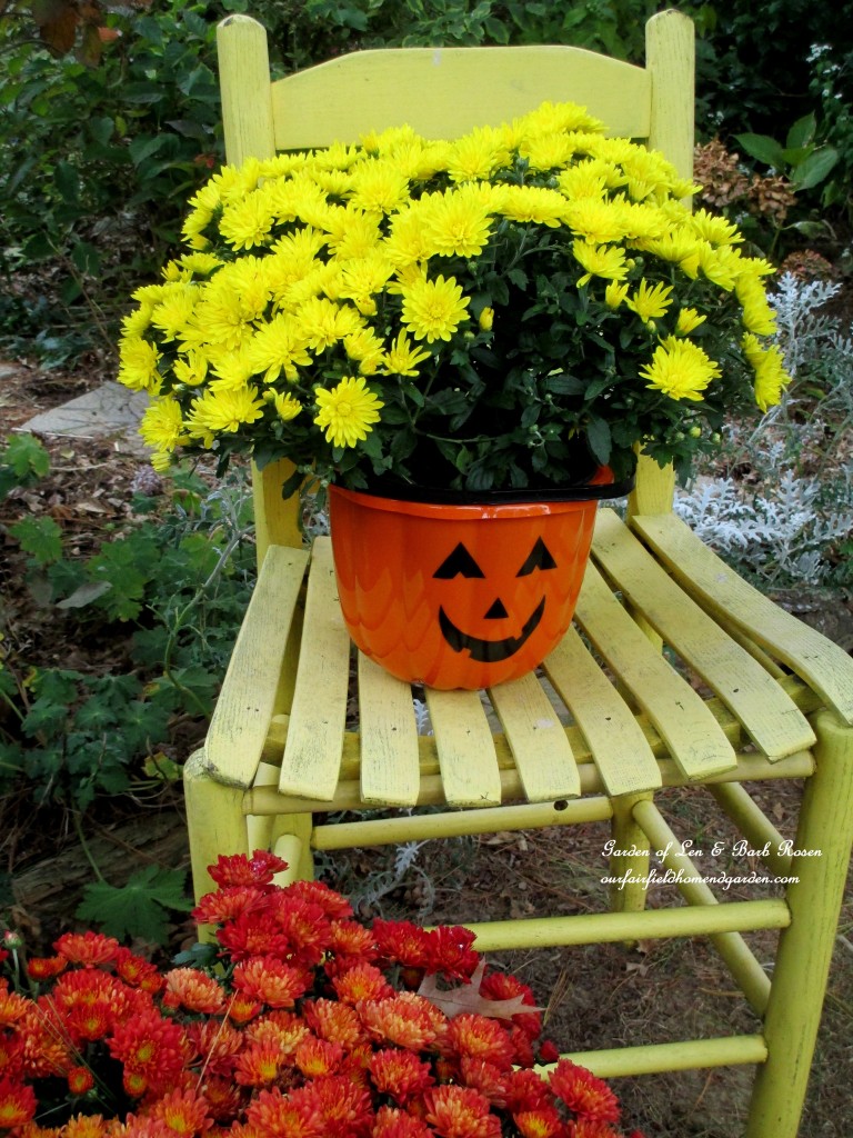 Halloween candy bucket used as a mum planter. https://ourfairfieldhomeandgarden.com/fall-decorating-at-our-fairfield-home-and-garden/