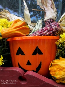 Fall Kitchen Window Box https://ourfairfieldhomeandgarden.com/fall-decorating-at-our-fairfield-home-and-garden/