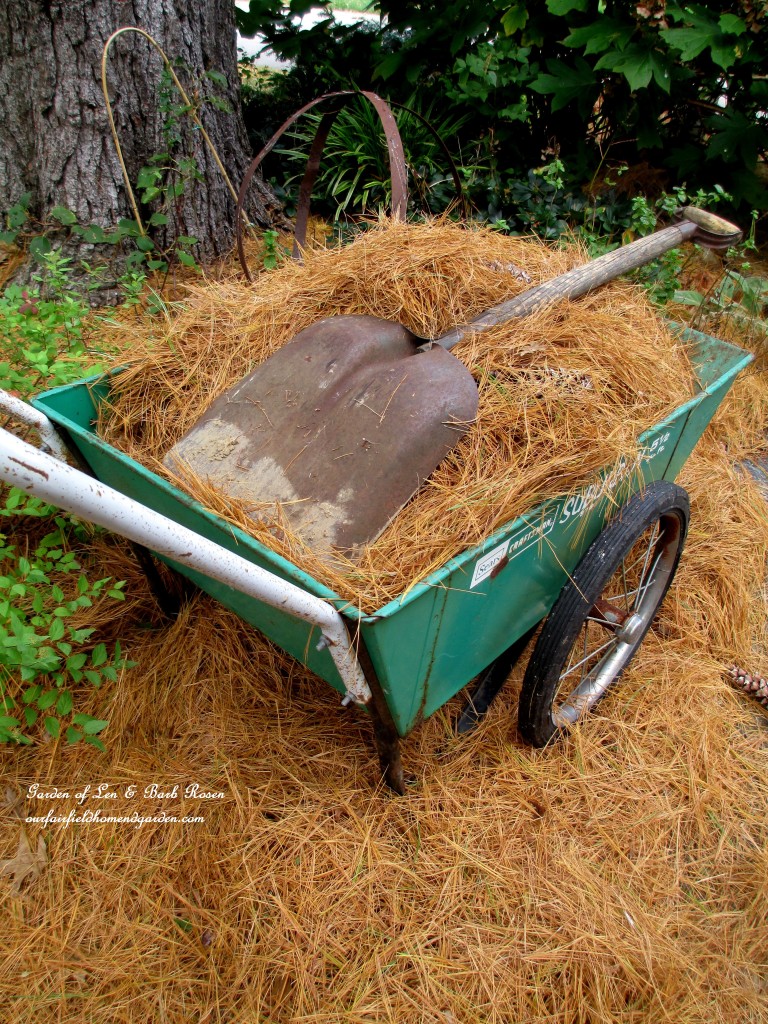 pine straw makes excellent mulch https://ourfairfieldhomeandgarden.com/diy-tucking-the-garden-in-for-the-winter-at-our-fairfield-home-garden/