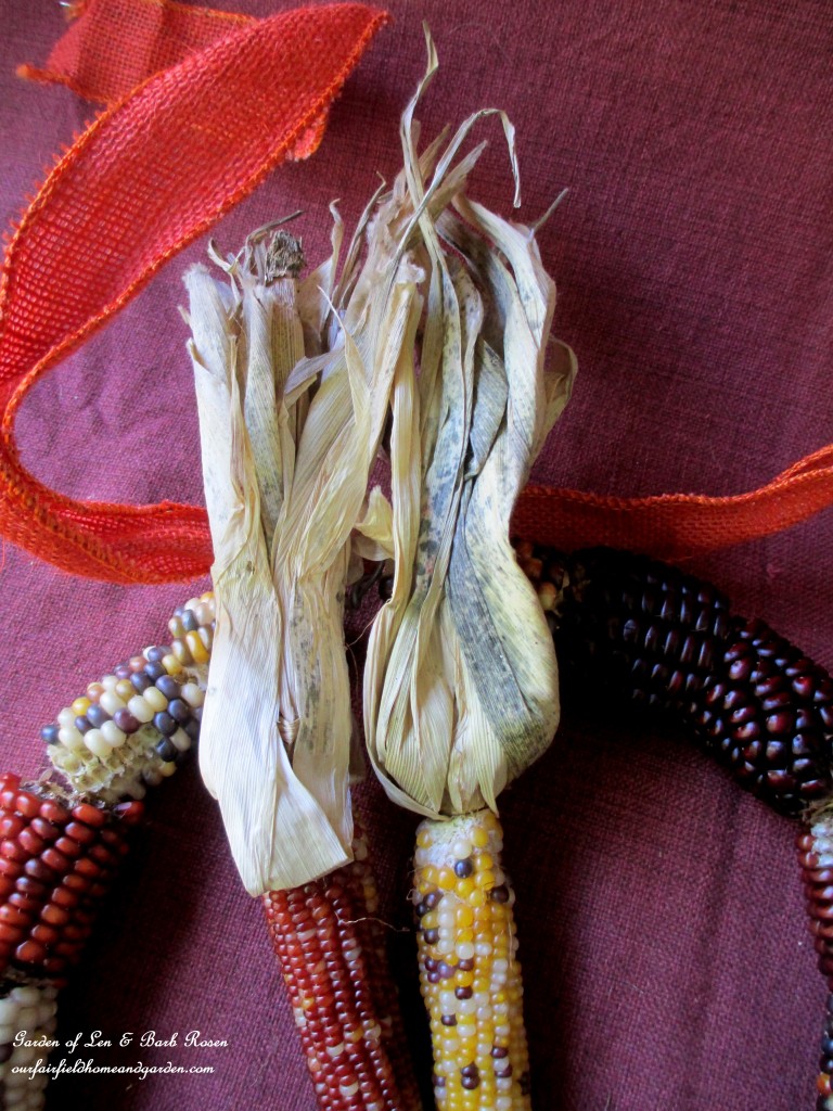Tie the smaller Indian Corn on with wired burlap ribbon. https://ourfairfieldhomeandgarden.com/diy-fall-corn-cob-wreath/