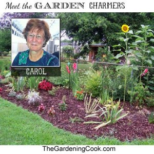 Meet Carol ~ The Gardening Cook !