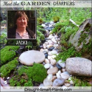 Jacki of Drought Smart Plants !
