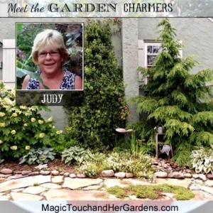 Meet Judy of Magic Touch & Her Gardens !