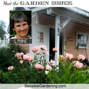 Meet Lynne of Sensible Gardening & Living !