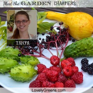 Meet Tanya of Lovely Greens!