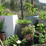Recycled Gardens * click it !