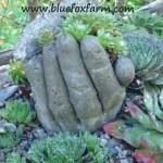 Hypertufa Hands * click it !