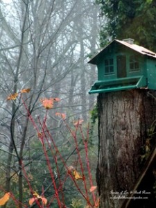 squirrel-proof feeder https://ourfairfieldhomeandgarden.com/its-time-to-feed-the-birds/
