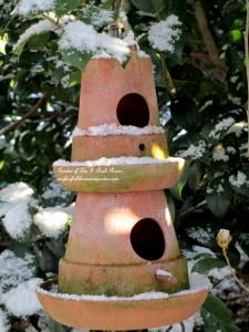 Winter Garden Tour