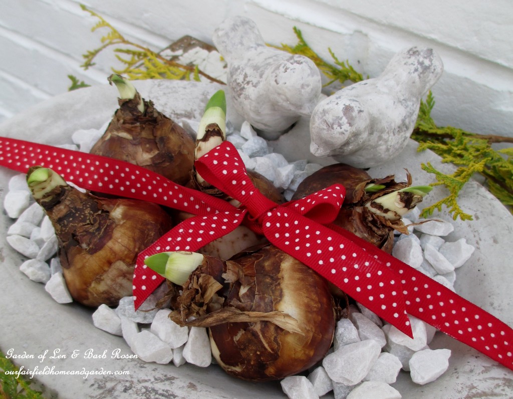 gifts for gardeners https://ourfairfieldhomeandgarden.com/diy-gifts-for-the-gardener/