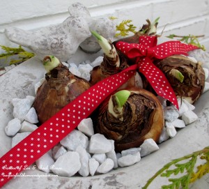 gifts for gardeners https://ourfairfieldhomeandgarden.com/diy-gifts-for-the-gardener/