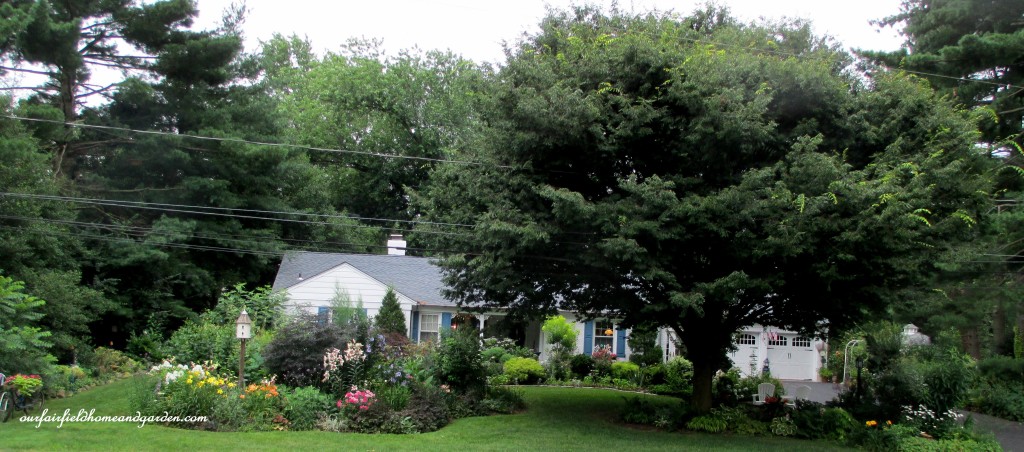 Our Fairfield Home & Garden https://ourfairfieldhomeandgarden.com/5-years-before-after-in-our-fairfield-garden/