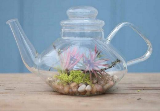 Teapot Terrarium http://gardentherapy.ca/tag/terrarium/