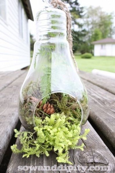Terrarium http://www.hometalk.com/2526595/terrariums-in-all-shapes-and-sizes