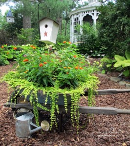 Planted Rusty Wheelbarrow https://ourfairfieldhomeandgarden.com/flower-pairings/sun-loving/