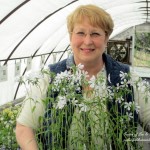 Barb Rosen ~ Our Fairfield Home & Garden https://www.facebook.com/OurFairfieldHomeAndGarden#