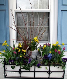 Spring Window Box https://ourfairfieldhomeandgarden.com/diy-project-welcome-spring-time-to-change-the-window-boxes/