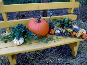 Preparing the Garden for Winter https://ourfairfieldhomeandgarden.com/diy-tucking-the-garden-in-for-the-winter-at-our-fairfield-home-garden/