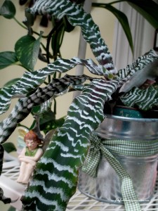 houseplants https://ourfairfieldhomeandgarden.com/winter-comforts-at-our-fairfield-home-garden/