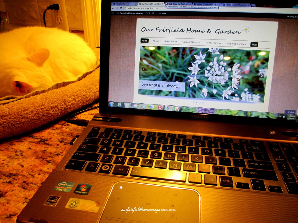 laptop computer https://ourfairfieldhomeandgarden.com/winter-comforts-at-our-fairfield-home-garden/