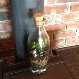 Terrarium terrarium http://sensiblegardening.com/the-closed-terrarium/