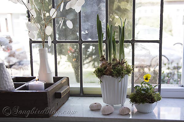 spring window sill http://www.hometalk.com/msongbird