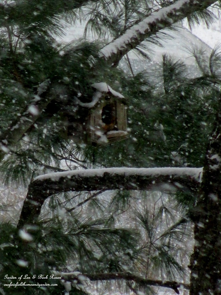birdhouse in the snow https://ourfairfieldhomeandgarden.com/winter-birds-our-fairfield-home-garden/