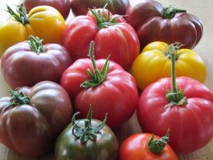 tomato varieties http://www.hometalk.com/o0ocpyc5gb